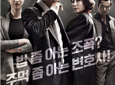 Lawless Lawyer