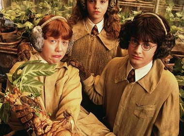 Serial TV 'Harry Potter' Akan Tayang pada 2026 dengan Pemeran Berbeda dari Filmnya
